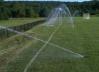 Poor sprinkler location