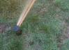 Sprinkler with iron water