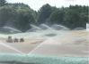 Turf establishment by seed
